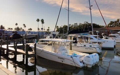 a group of boats docked at a dock