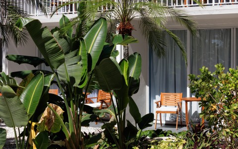 a patio with chairs and palm trees