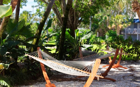 hammocks in a garden with trees and plants in the background