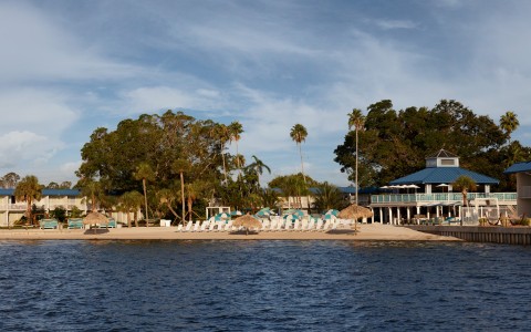 a beach with chairs and umbrellas on a beach