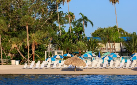 a beach with umbrellas and chairs