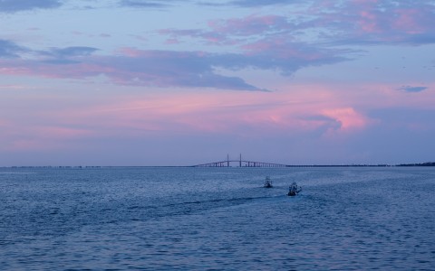 a group of boats in the water with a bridge in the background