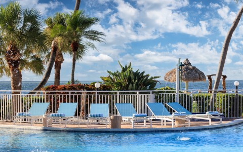a pool with chairs and palm trees