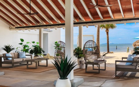a patio with chairs and a large plant