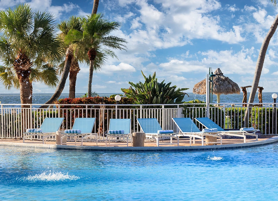 A resort pool with lounge chairs and palm trees overlooking the ocean.