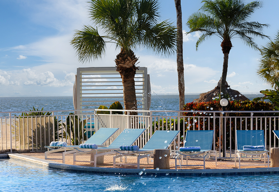 a pool with lounge chairs and palm trees