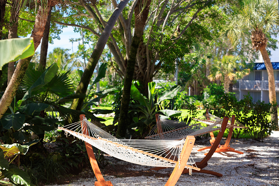 hammocks in a garden with trees and plants on a sunny day