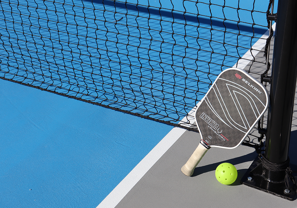 a paddle and ball next to a net