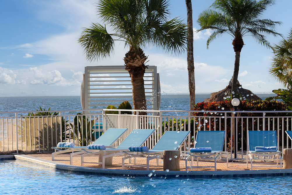 a pool with lounge chairs and palm trees