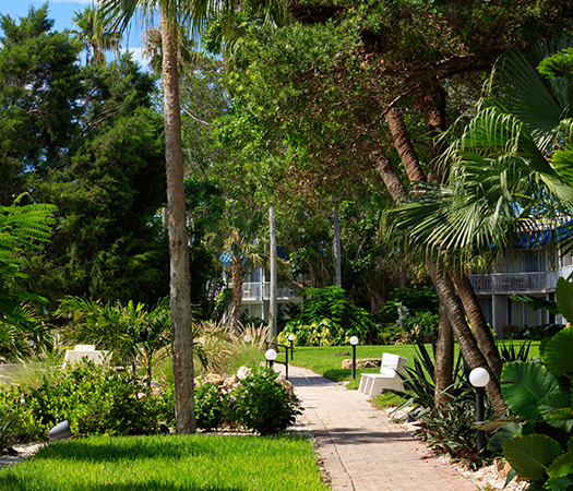 a walkway with benches and trees