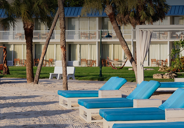 a group of blue lounge chairs on a beach