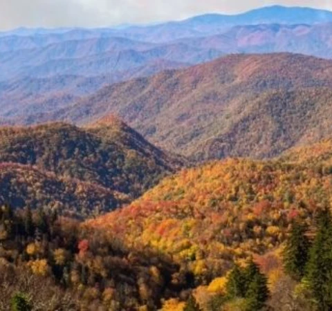 a mountain range with trees and mountains in the background