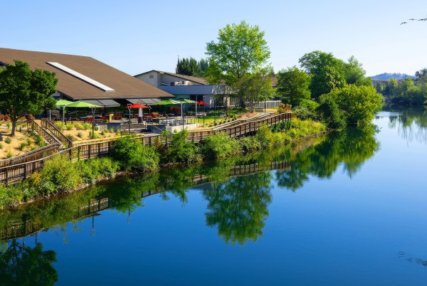 a body of water with buildings and trees