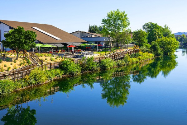 a body of water with buildings and trees