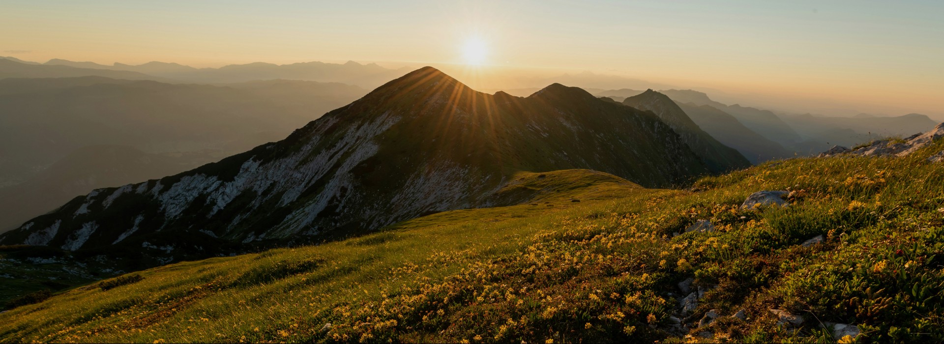 a mountain with yellow flowers and a sun shining through