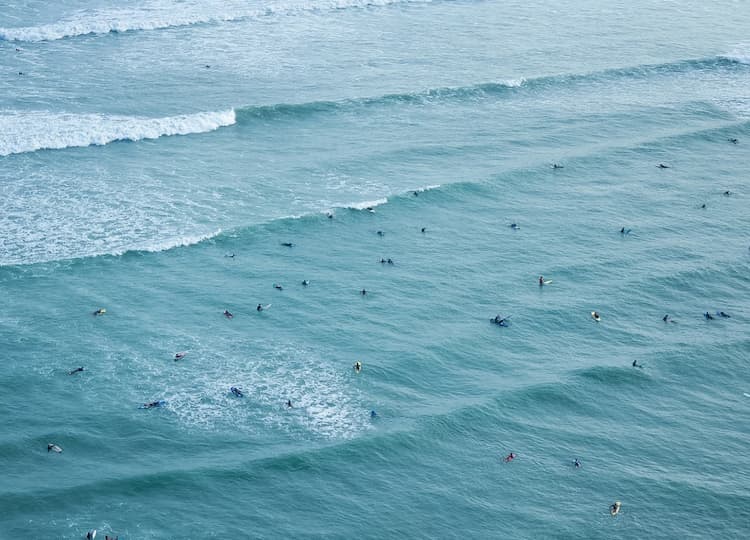 Post image for a group of people surfing in the ocean