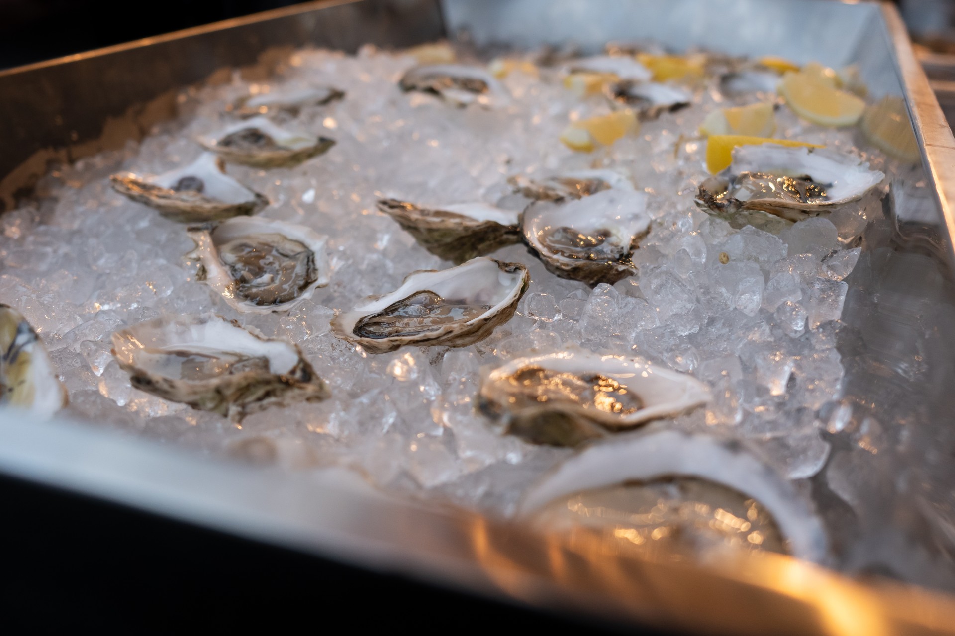 a tray of oysters on ice