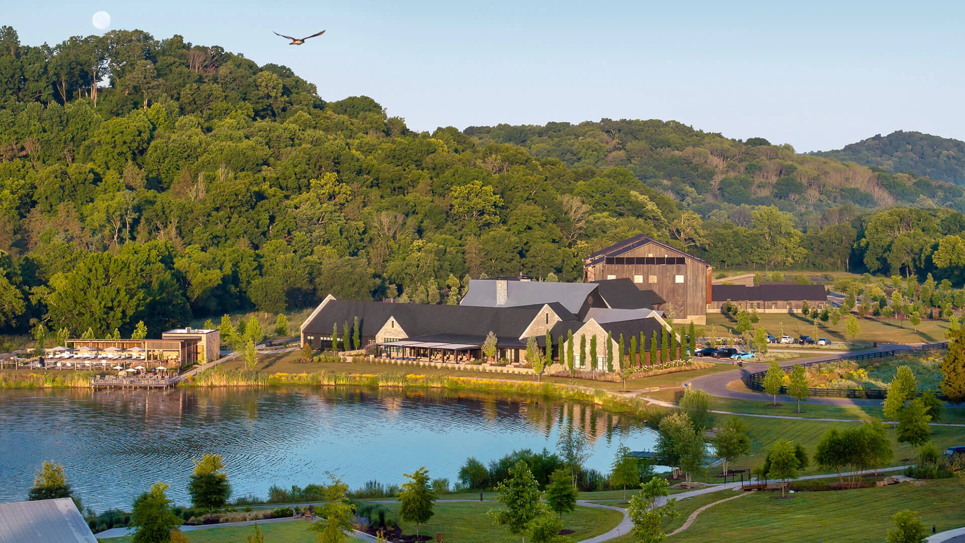 a bird flying over a lake