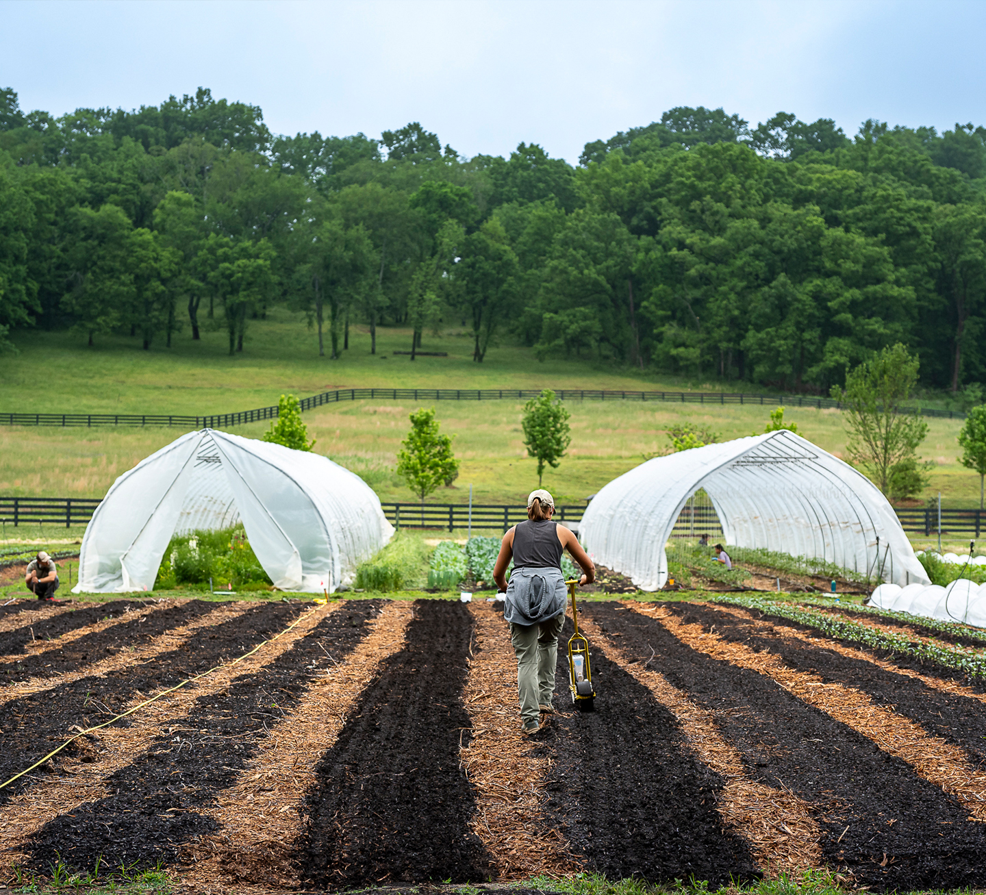 a woman working in a field
