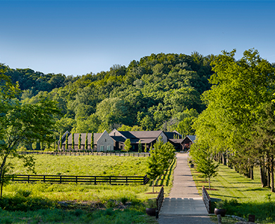 a path leading to a house