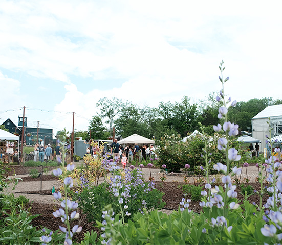 a garden with purple flowers and people in the background