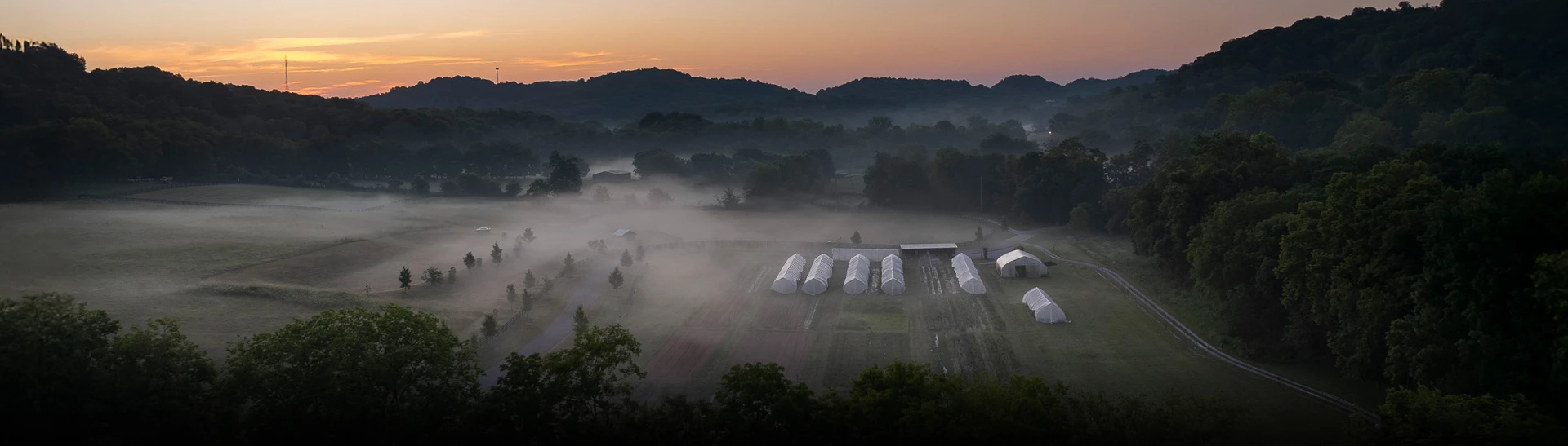 a group of white tents in a field with fog