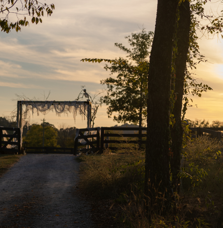 view of the haunted trail at southall