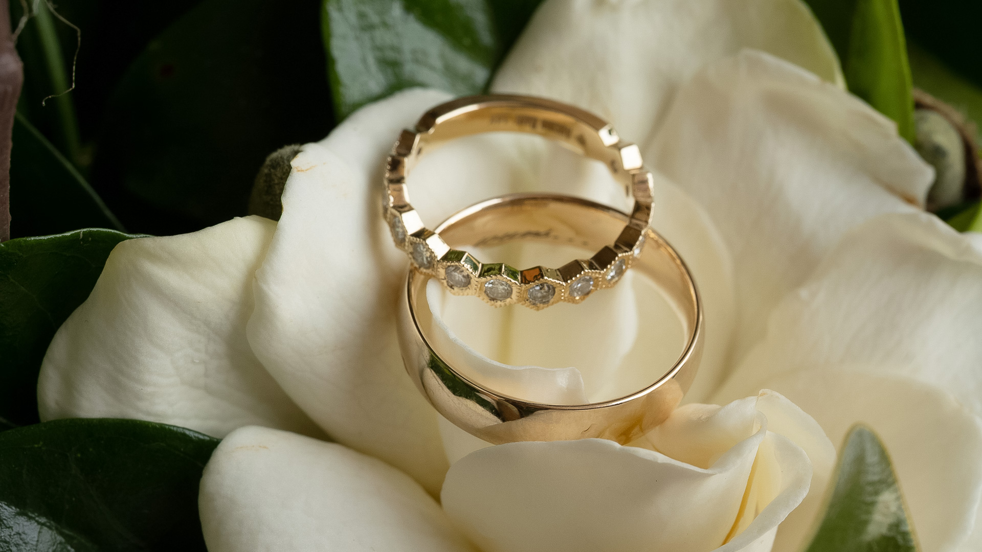 a couple of gold rings on a white flower