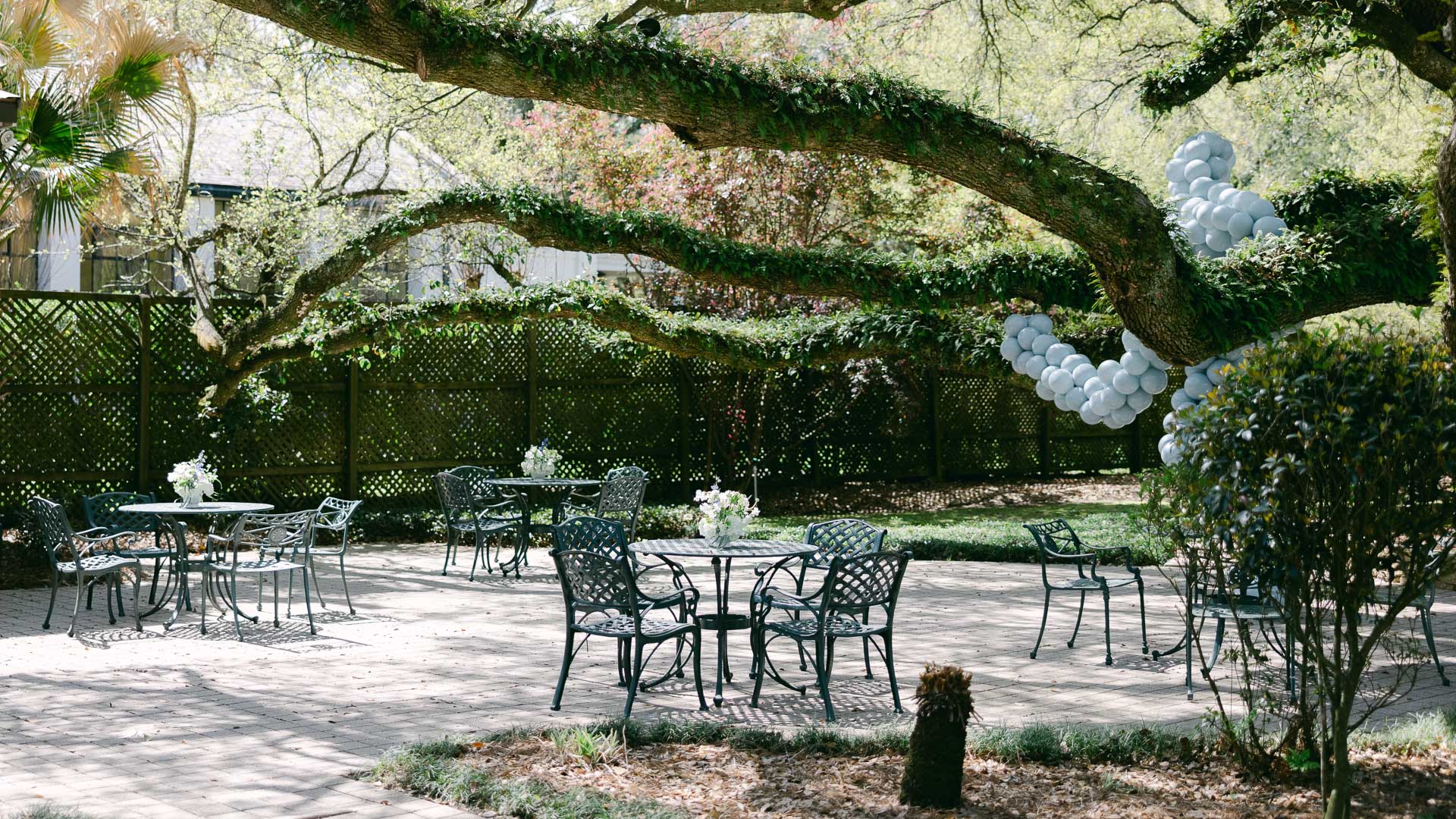 a table and chairs under a tree
