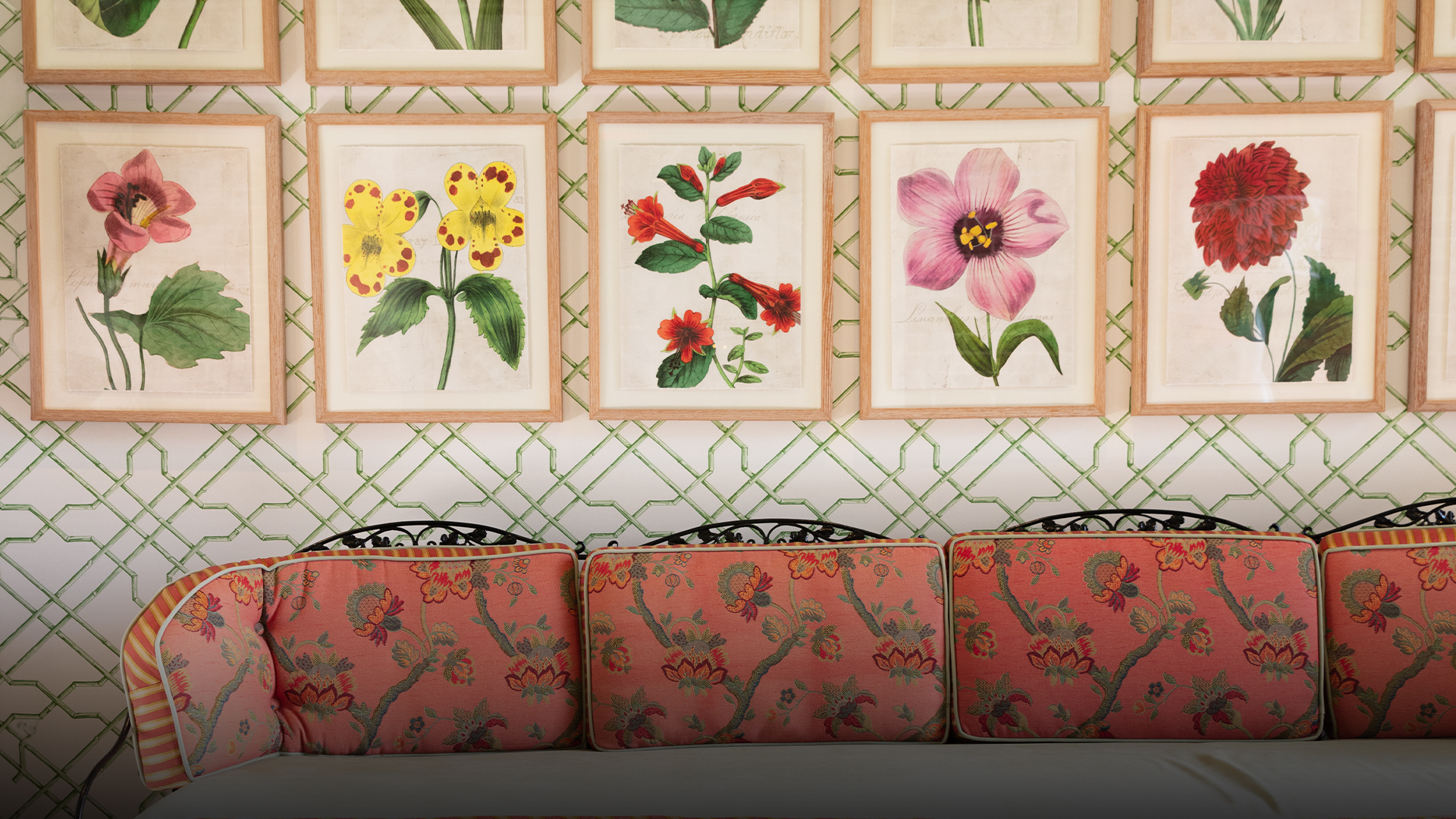 a group of framed pictures of flowers on a wall