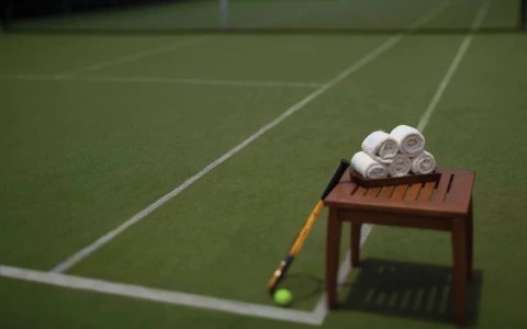 tennis court 