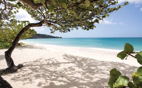 new beach17 5d3a1f5661bc5
