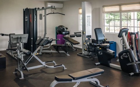 spice gym3