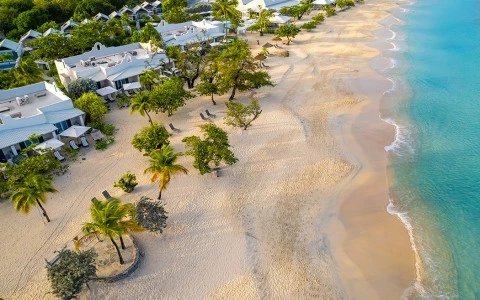 a beach with trees and buildings