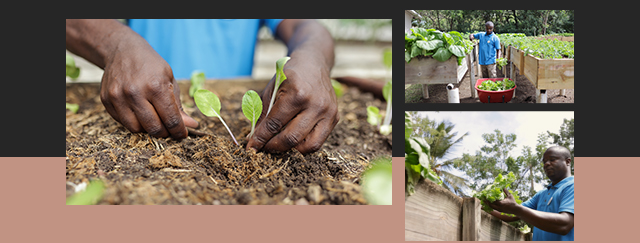 sibr 2022newsletter 02_06