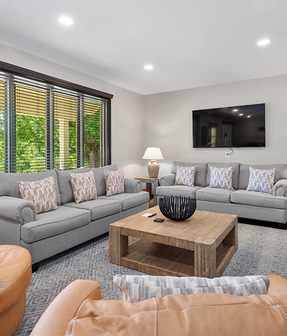 a living room with couches and a tv
