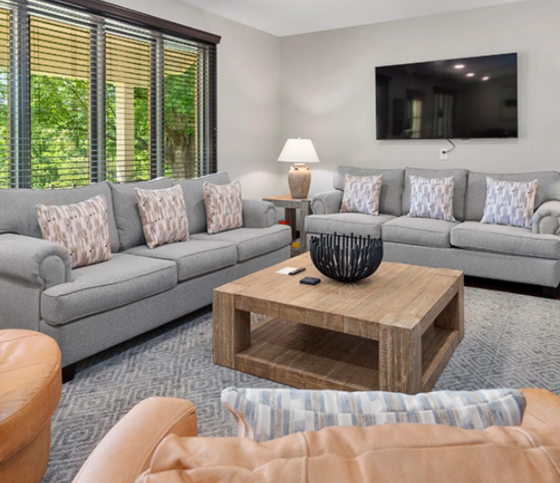 a living room with couches and a tv