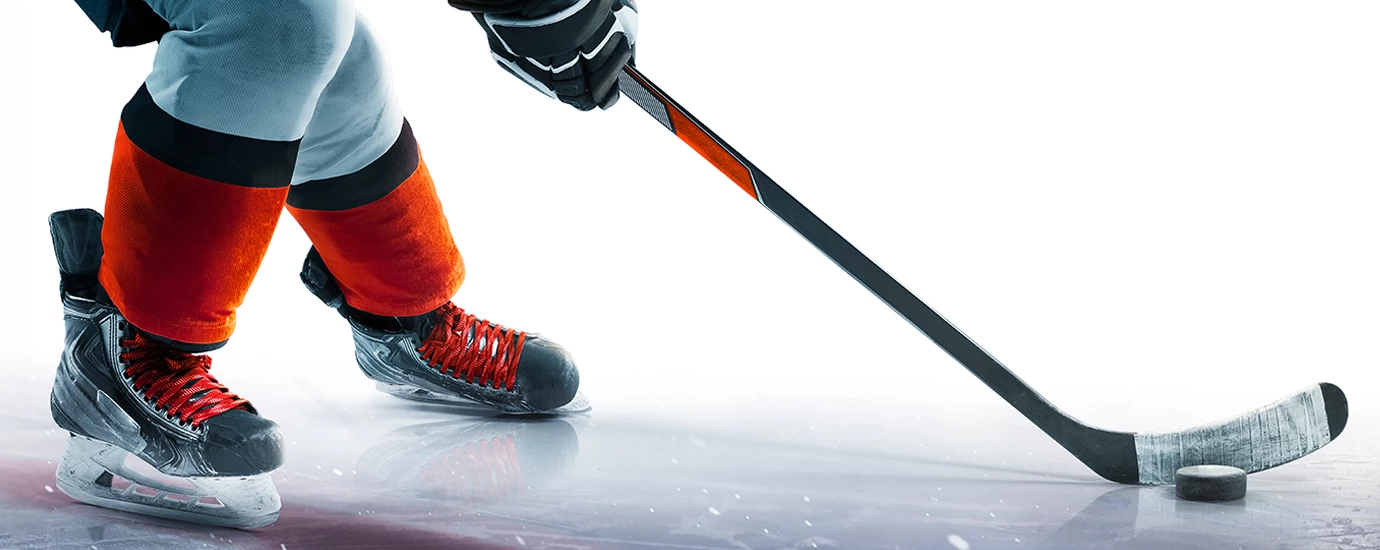 a person holding a hockey stick