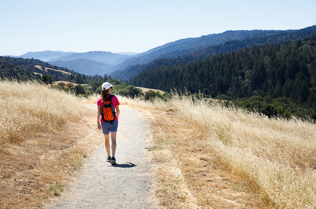 Scenic Hikes Near Palo Alto