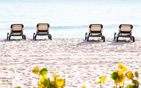 chairs on a beach