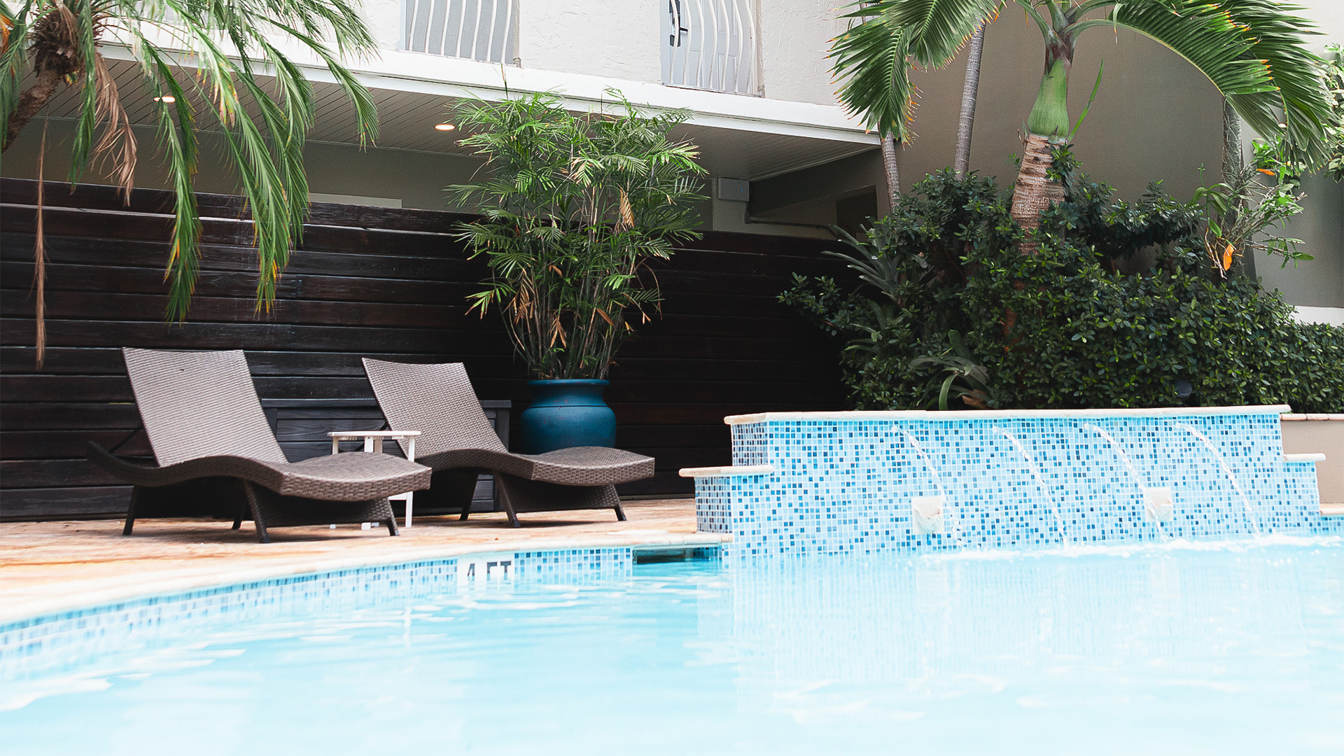 a pool with chairs and palm trees