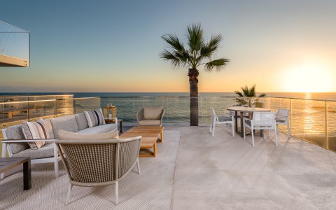 a patio with a palm tree and a glass railing