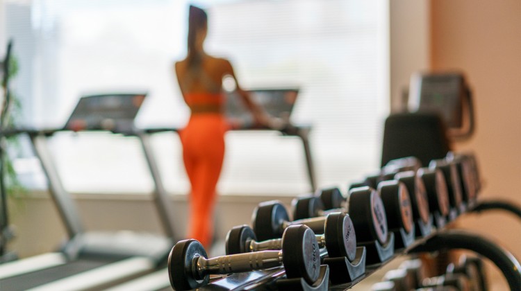 a group of dumbbells in a gym