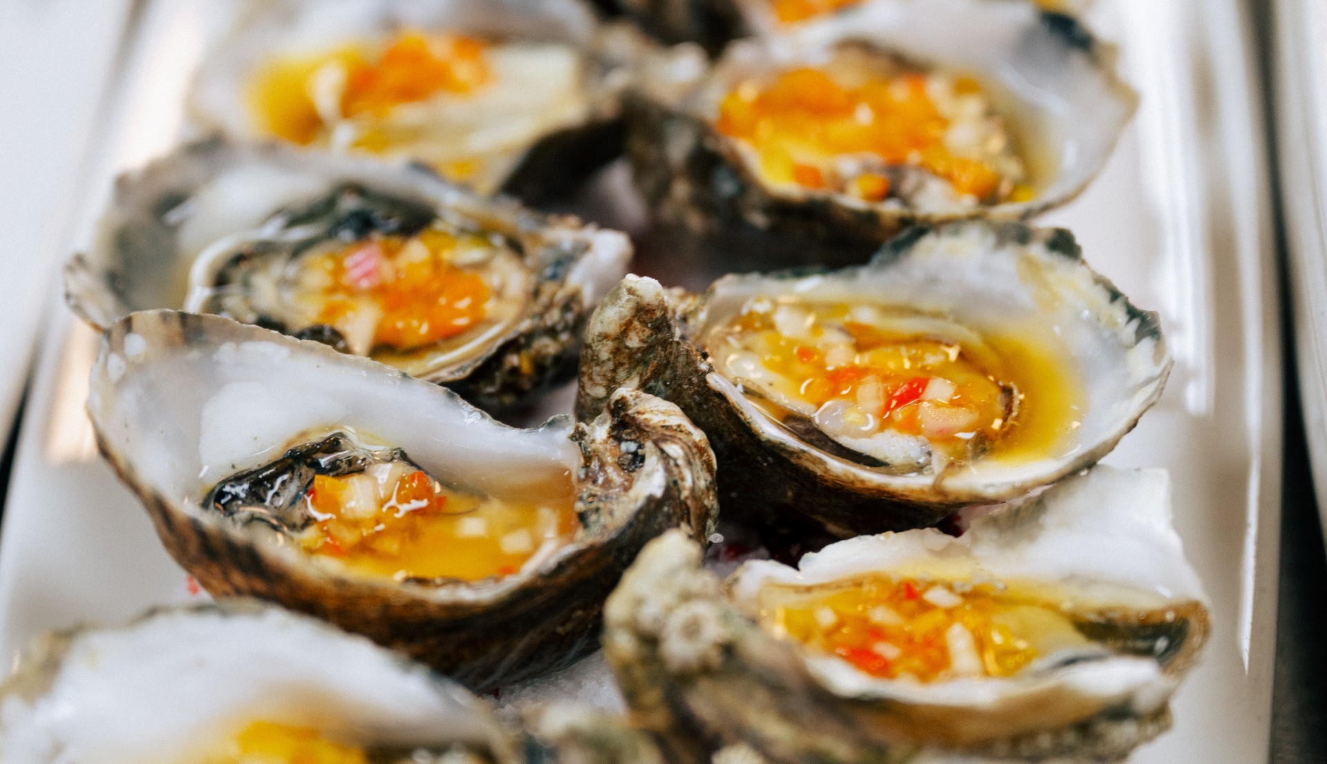 a group of oysters with sauce