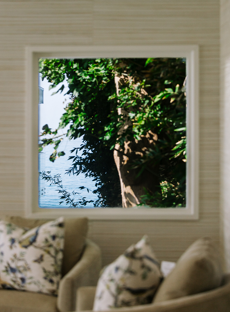 a window with a view of a tree and water