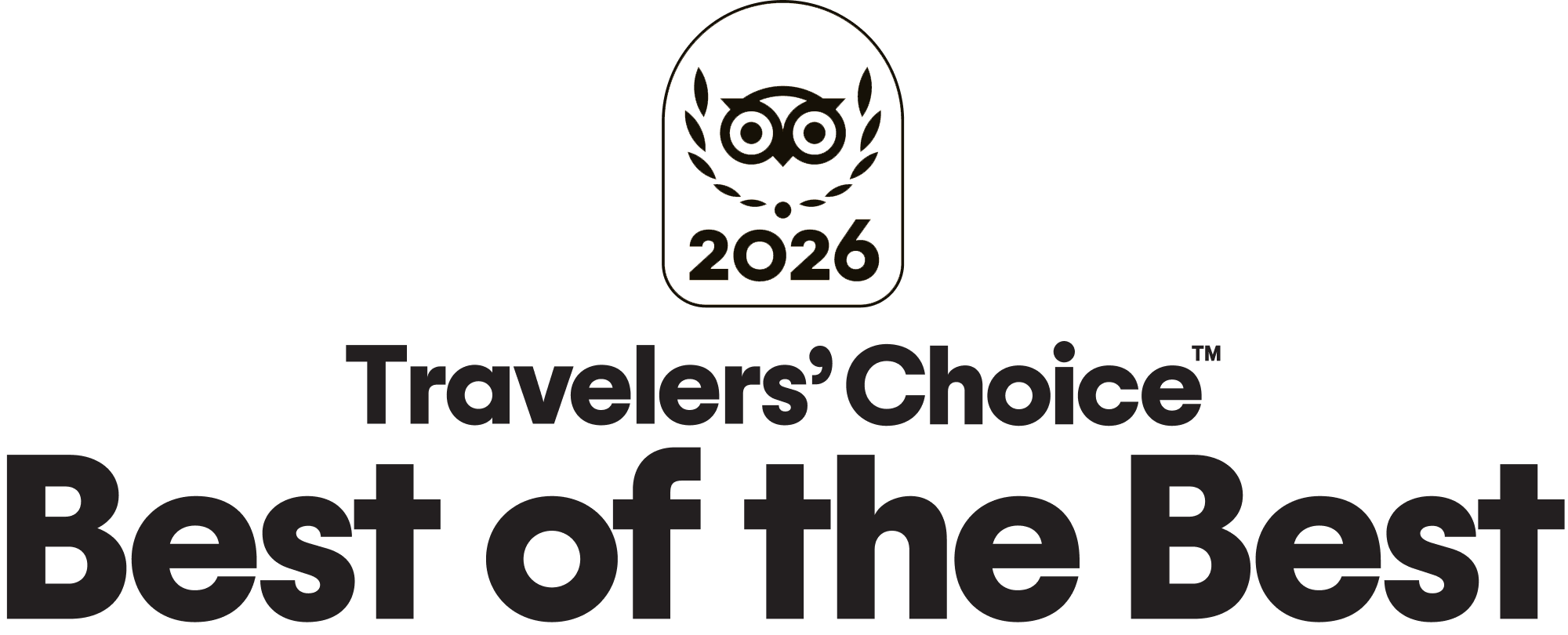 a black and gold logo