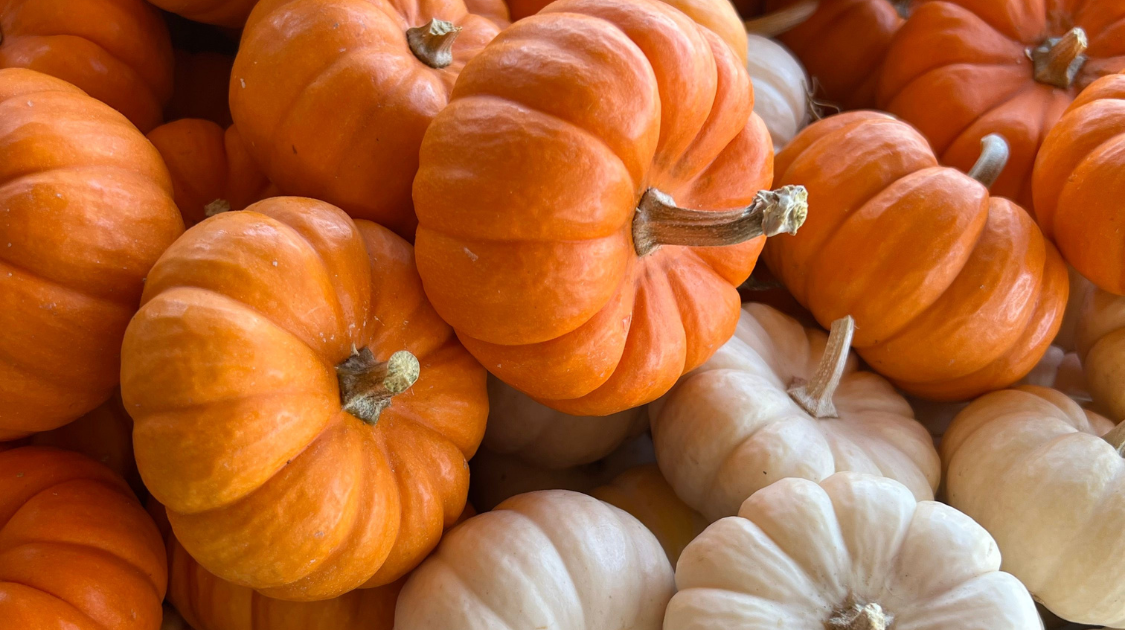a pile of pumpkins