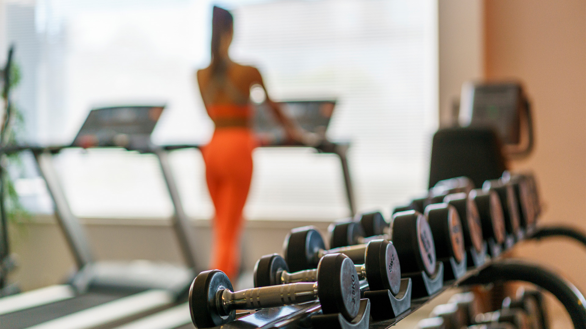 a group of dumbbells in a gym