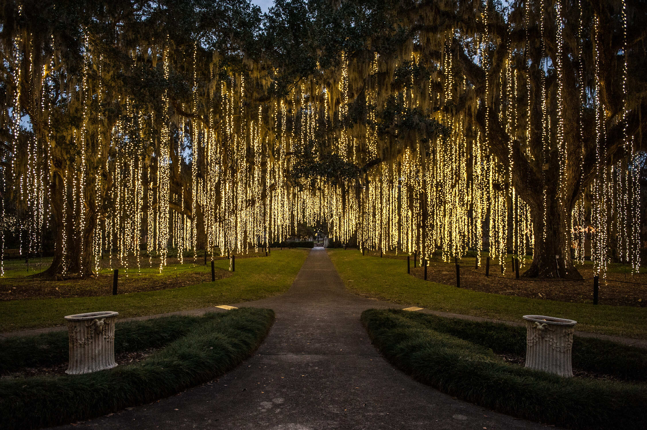 a path with trees with lights from it