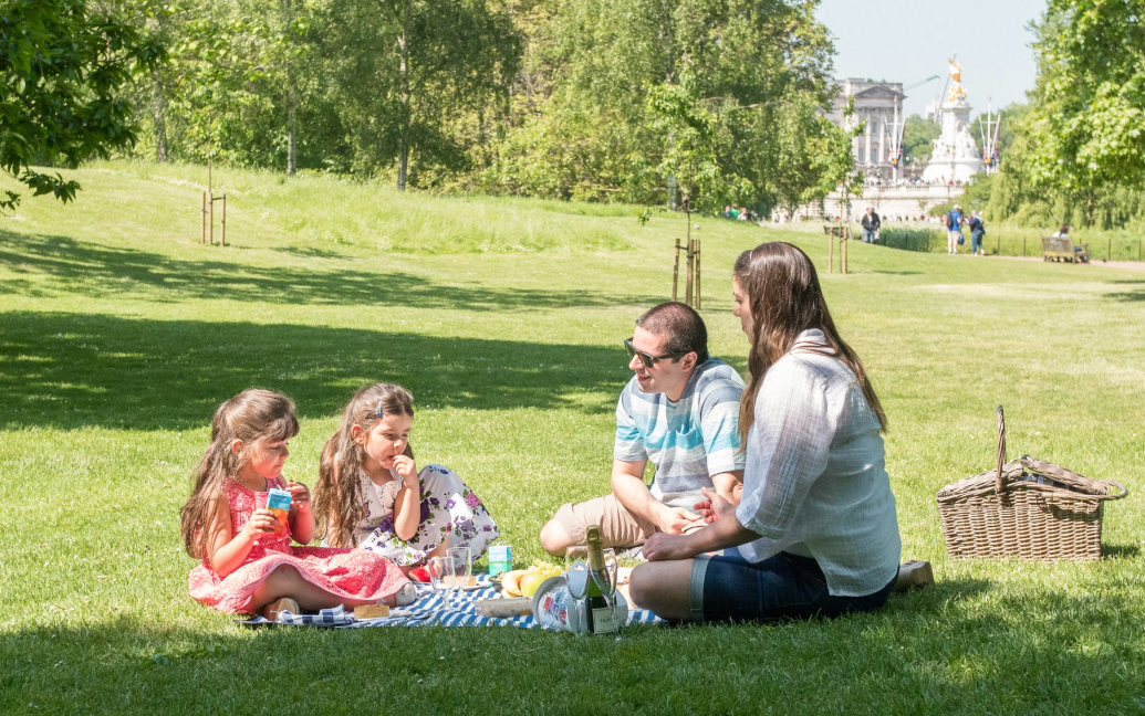 a group of people sitting on a blanket in a park